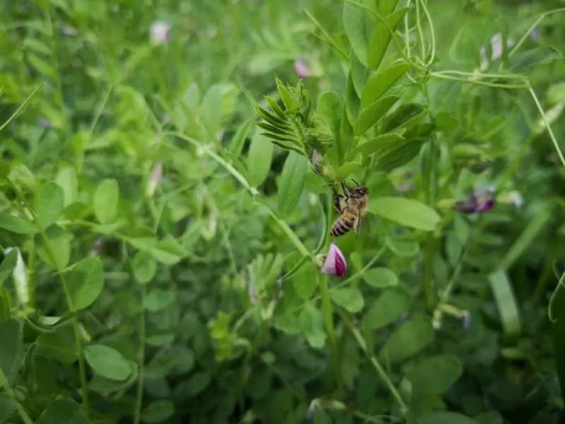 1586066084728064.jpg 1586066084728064.jpg