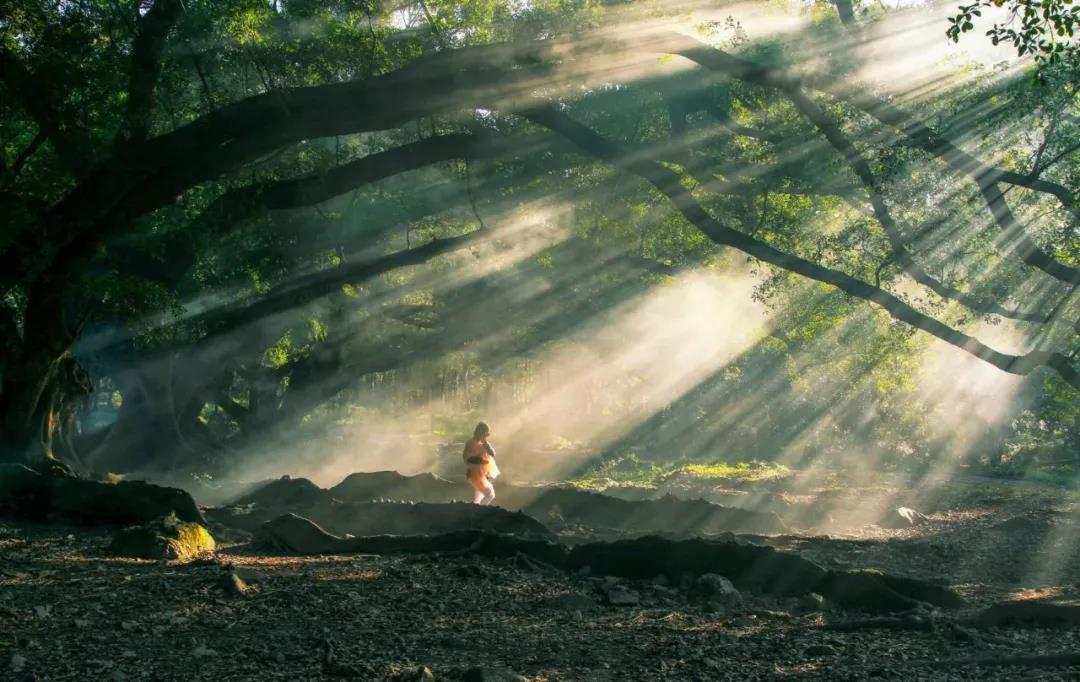 1586066622566473.jpg 1586066622566473.jpg