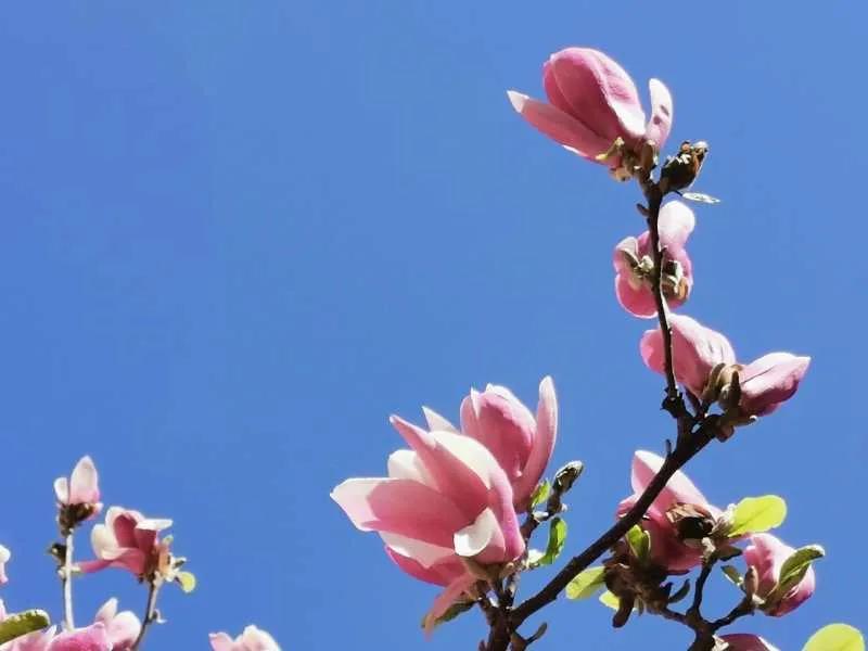 1586066790440404.jpg 1586066790440404.jpg