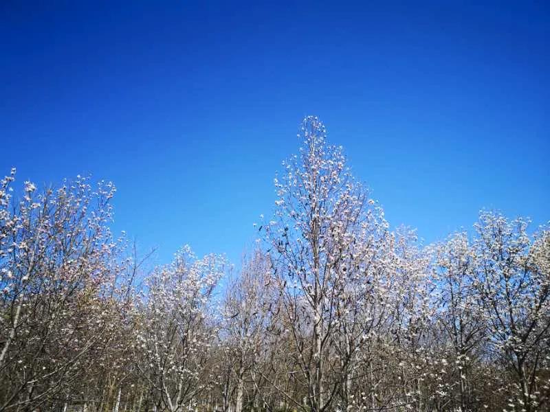 1586066912837685.jpg 1586066912837685.jpg