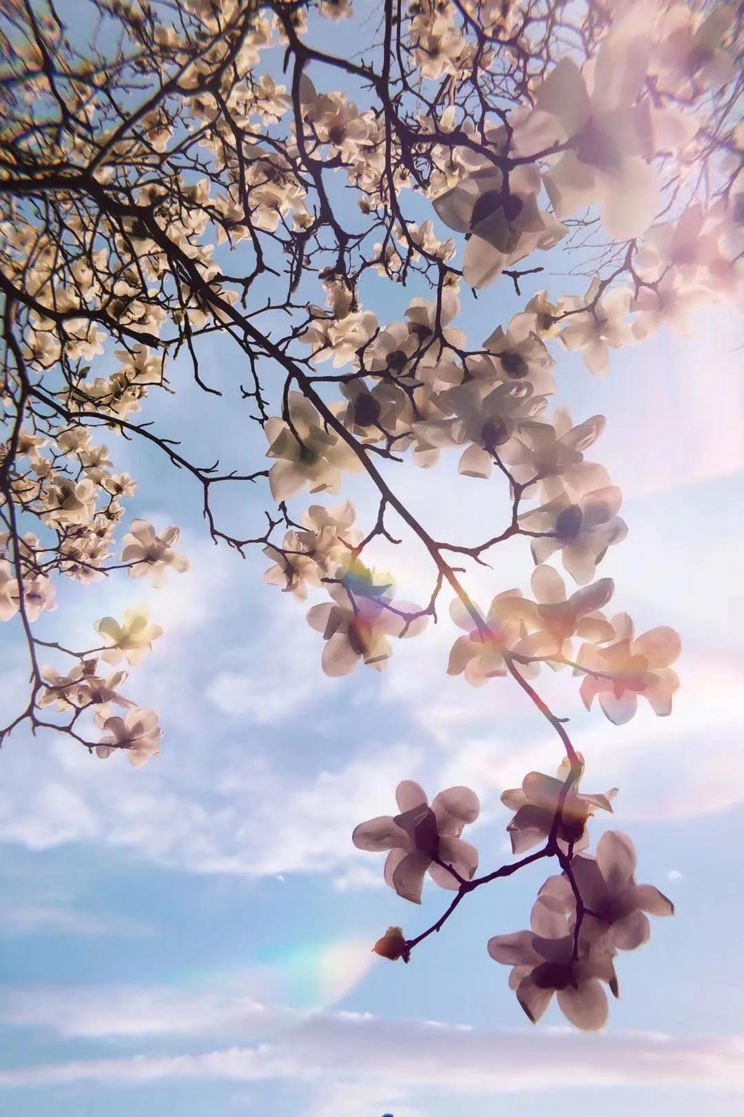 1586067274601172.jpg 1586067274601172.jpg