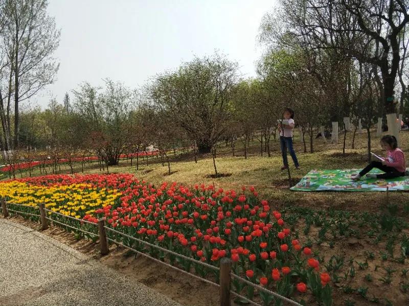 1586067484314291.jpg 1586067484314291.jpg