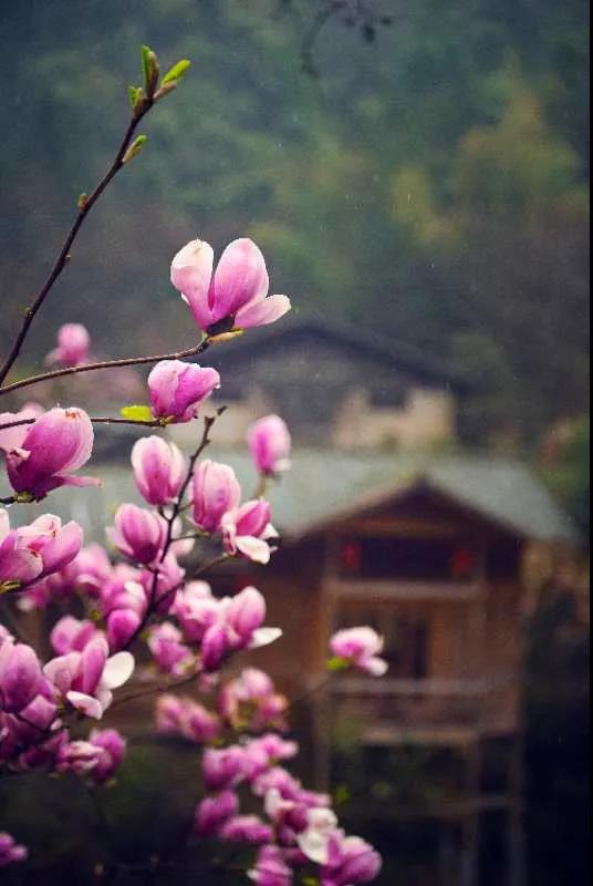 1586067582882116.jpg 1586067582882116.jpg