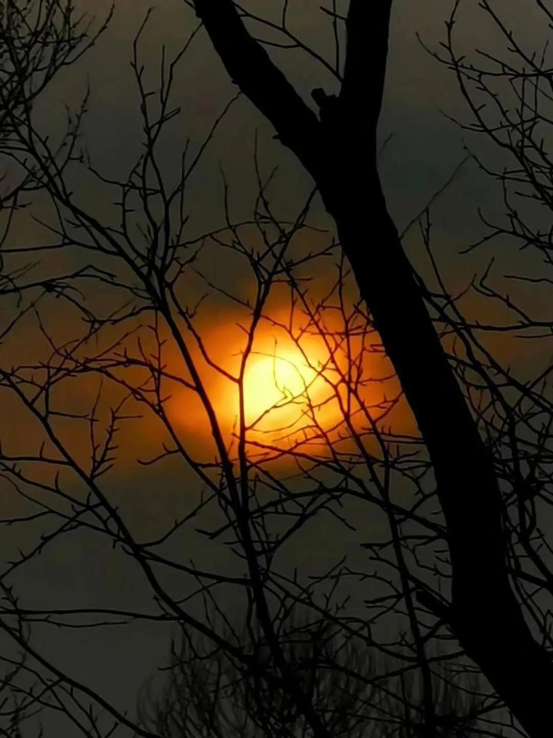 1586067804341197.jpg 1586067804341197.jpg