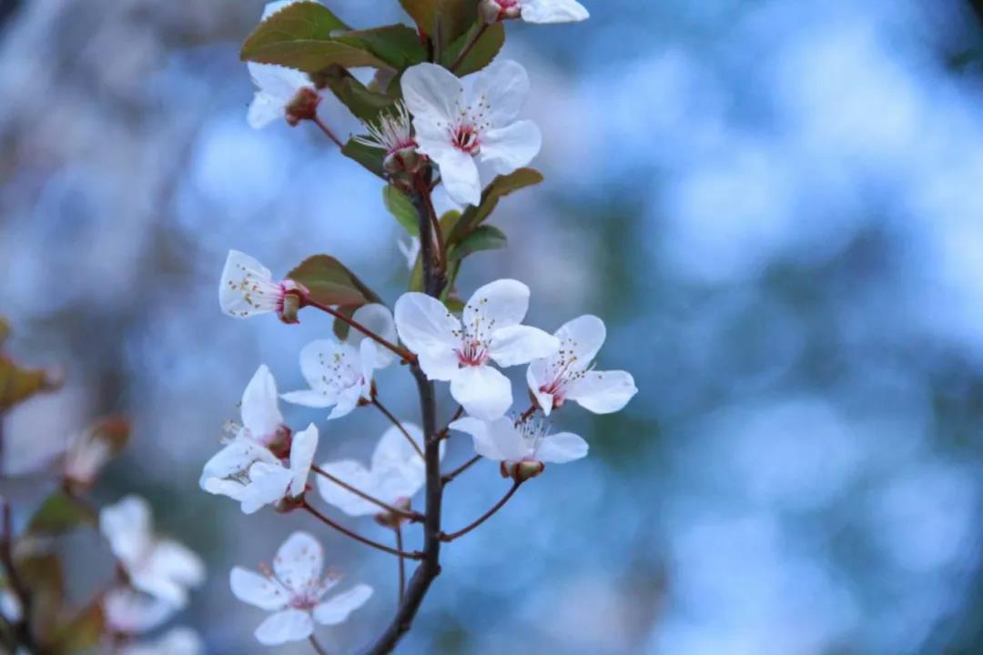 1586068269813343.jpg 1586068269813343.jpg