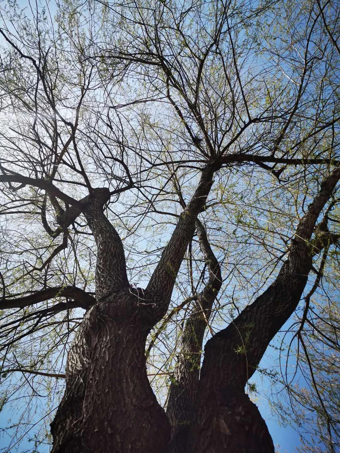 1586068558805707.jpg 1586068558805707.jpg