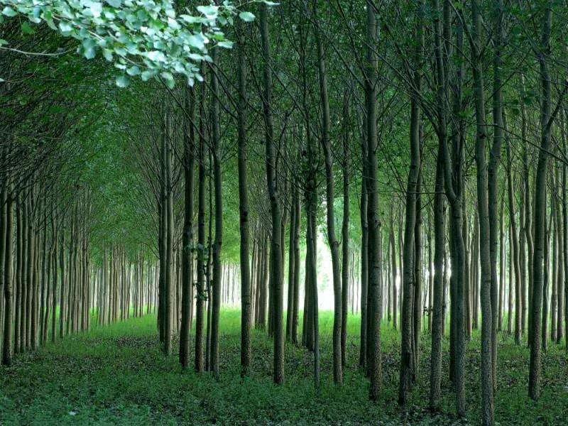 1586412374939808.jpg 1586412374939808.jpg