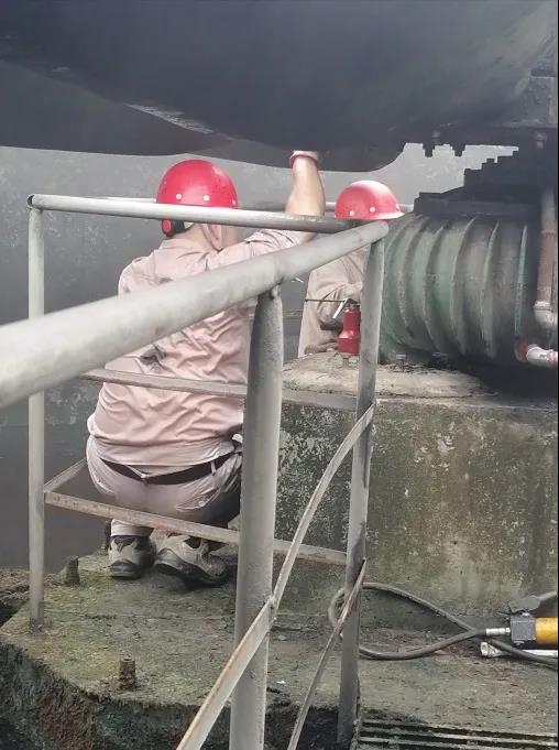 1630033686894379.jpg 1630033686894379.jpg